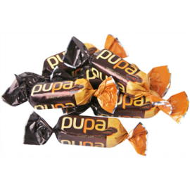 pupa-1kg.jpg